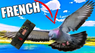 French Pigeon Hitman  | GTA 5 RP