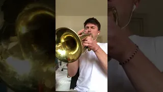 What if Fireflies had a trumpet solo 🦉🌃