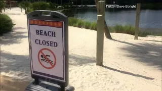 Disney reviews signage by lakes after fatal alligator attack