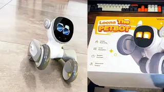 Unboxing and Review: Loona Adorable Petbot - Your New Best Friend