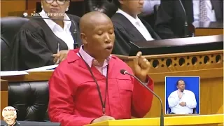 Julius Malema EFF Motion | Expropriation Of Land Without Compensation