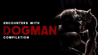 DOGMAN ENCOUNTERS COMPILATION - 2+ Hours Of Dogman Encounters -  What Lurks Beneath