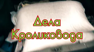 Будни Кроликовода, покупка корма кроликам, уборка клеток | Дневник Кроликовода №45 | Арболитич