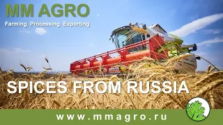 MM AGRO. Promo Video