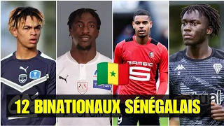 12 Binationaux Sénégalais 🇸🇳 Qui peuvent Jouer pour Le Sénégal