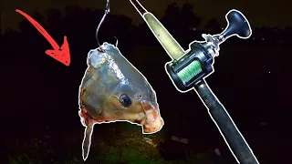 This Is Why You Throw BIG BAITS at NIGHT!!!