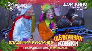 Новогодний спектакль "Щелкунчик и кошки" !