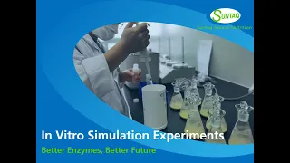 In Vitro Simulation Experiments