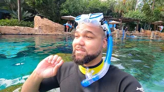 My First Time At Discovery Cove! | The Best Experience In Orlando!