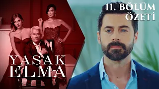 Yasak Elma 11. Bölüm Özeti