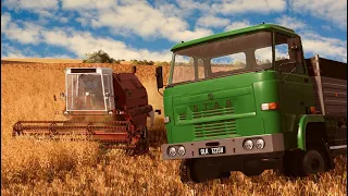Żniwa z Bizonami BS Z110 i GIGANT Z060 - STAR244 polskie legendy w polu - Farming Simulator 19