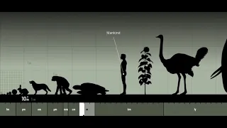 The scale of the Universe in 60 seconds