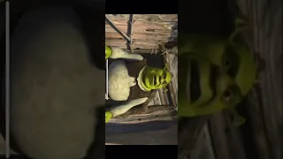 What are you doing in my swamp remix