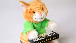 Keyboard Cat Toy's Wonderful Pistachios Commercial!