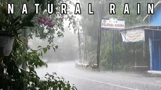 Eliminate stress and fall asleep quickly in the pouring rain.Thunder Sound, Heavy Rain on Metal Roof