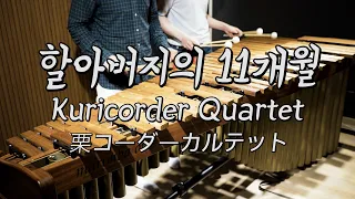 Curicorder Quartet - Grandpapa's Eleven Month - Pulse Marimba Cover