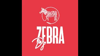 DJ ZEBRA | FEBRUARY 2024 : MY BEST OF AFRO HOUSE