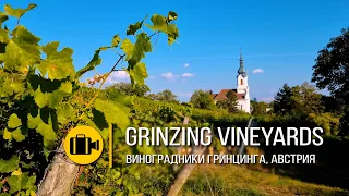 Виноградники Гринцинга, Австрия /// Grinzing Vineyards, Austria /// גרינצינג, אוסטריה