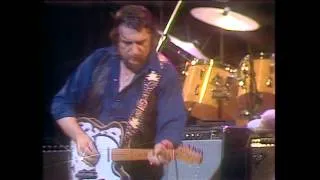 Waylon Jennings - Live in Stockholm