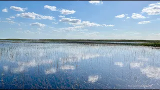 Guided Meditation: Inner Refuge of Calm - Tara Brach