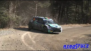 WRC Monte Carlo 2024 By Rigostyle  #rally #crash #wrc