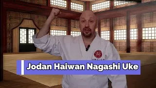 Jodan Haiwan Nagashi Uke | The Shotokan Chronicles
