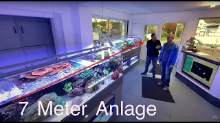 5 Jahre 7 Meter Becken! Viele neue Korallenableger. Teil 3 von 5 der neuen Fish and More Reihe.