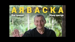 Как проходит Ретрит в Эквадоре  Аяваска  Вся правда  Обзор ретрит центра