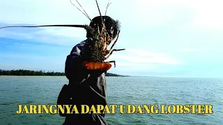 MENJARING DI LAUT,DAPAT IKAN DAN UDANG LOBSTER // BINTANG SAMBOJA.