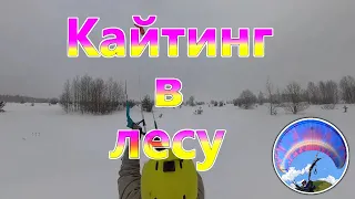 Лесной кайтинг