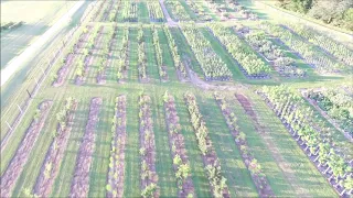 2018 flyover