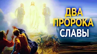 #117 Два пророка славы - Алексей Осокин - Библия 365 (2 сезон)