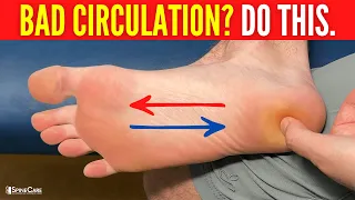 How to INSTANTLY Improve Circulation in Your Feet and Toes