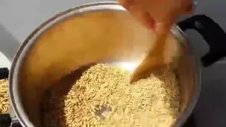 Homemade Malt