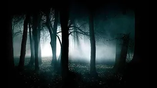 3 Haunted Forest