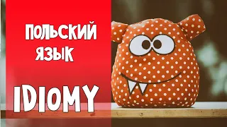 43 Самостоятельное изучение польского языка. Идиомы