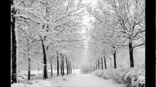Vivaldi - Winter (RV 297) - Itzhak Perlman