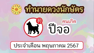 ทำนายดวงนักษัตร ดวงคนเกิดปีจอ ประจำเดือน พฤษภาคม 2567