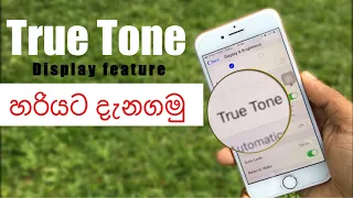 What is True Tone Display on Apple Devices| Should You turn it ON Explain in Sinhala