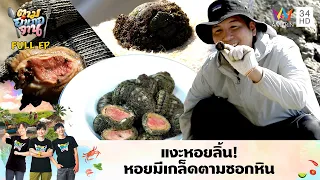 สุดแปลก! แงะหอยลิ้น หอยมีเกล็ดตามซอกหิน | ตามอำเภอจาน | 14 พ.ค.67 Full EP