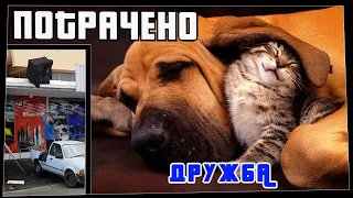 Потрачено. Дружба. Лучшие приколы, смешные видео и фейлы