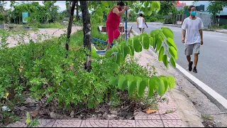 Residents said that for more than 2 years, no one has cleaned the grass in this exercise area