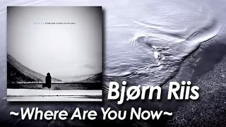 Bjorn Riis 『 Where Are You Now』from Album『Forever Comes to An End (2017)』by miu JAPAN