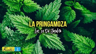 LA PRINGAMOZA - Los 50 de Joselito (Video Letra)