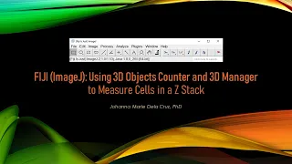 FIJI (ImageJ): Using 3D Objects Counter and 3D Manager to Measure Cells in a Z Stack