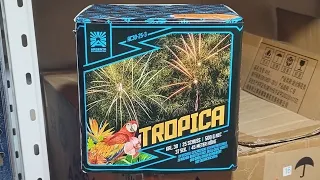 Argento Tropica | starkes Teil 🔥💥