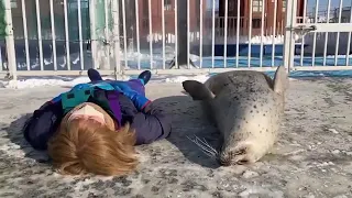 Slapping belly with a seal