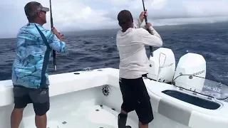 Jan 17th:  Mahi/Ahi