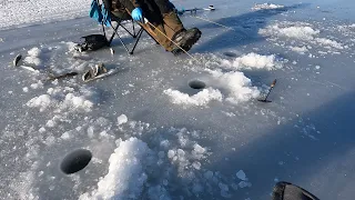 Приморский край. Село Безверхово. Навага.