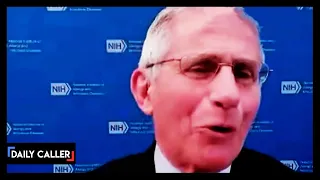 'Gimmie a Break': Fauci Mocks Reporter's Email Question